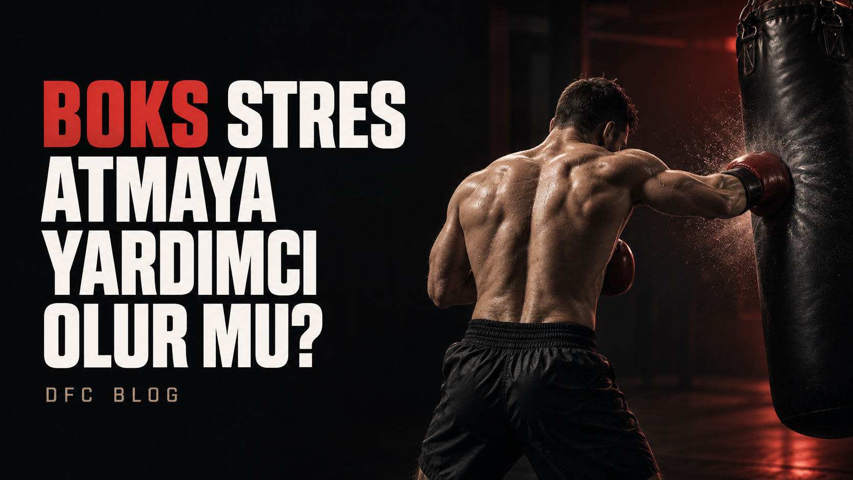 Boks Stres Atmaya Yardımcı Olur mu? Bulgular ve Sınırlar